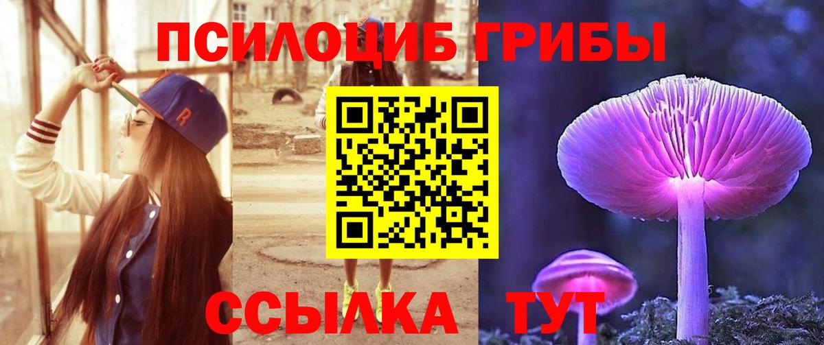Псилоцибиновые грибы Cubensis Заринск
